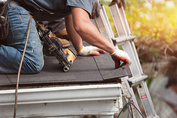 Best Best Roofing Contractors  in Felton, DE